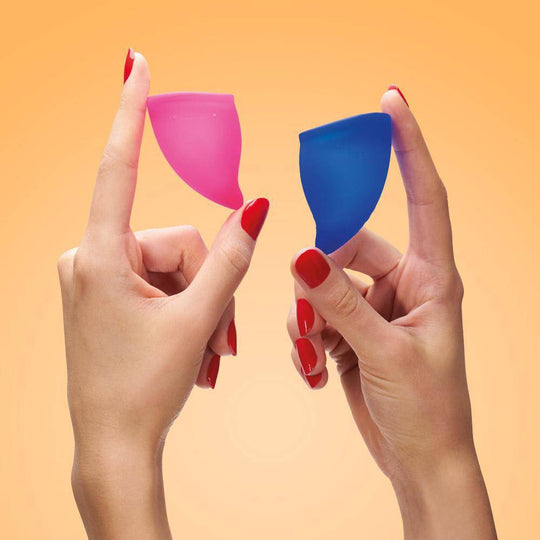 FUN CUP - FifthGate