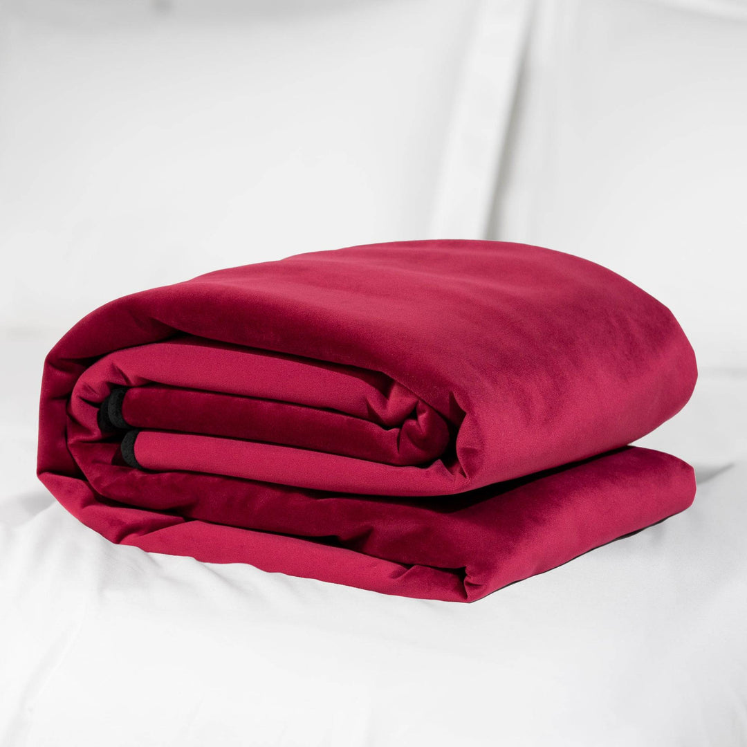 Fascinator Throw Merlot Microvelvet - Regular Size - FifthGate