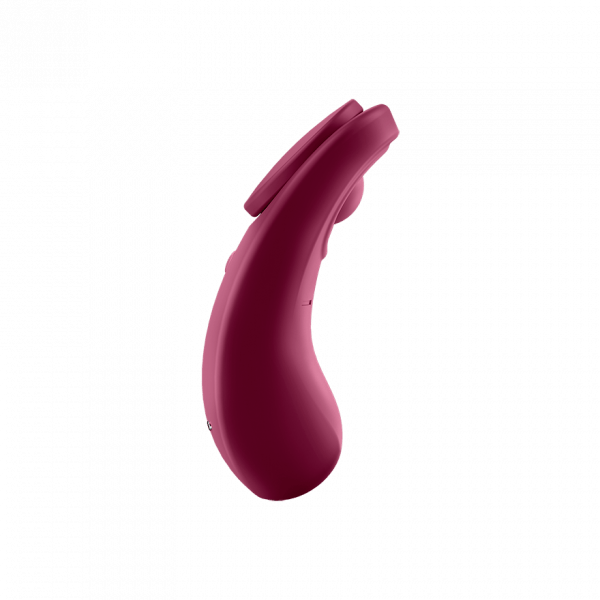 Satisfyer Sexy Secret - Wine Red - FifthGate